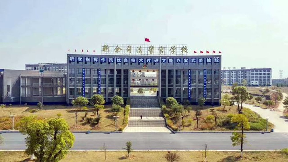 大鹏公安局专题系列篇 虽不是一路彩虹 但却一路收获